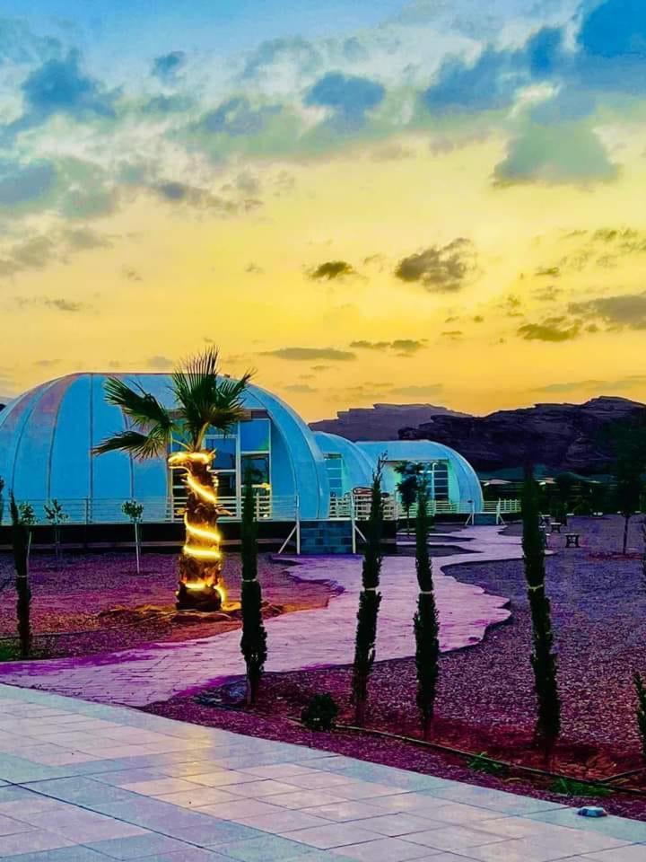 Oasis Luxury Camp 3*